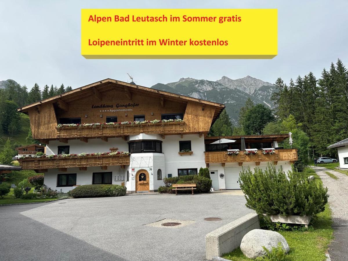 Ferienwohnung W6 Haus Ganghofer Leutasch Exterior foto
